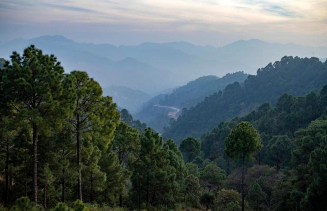 The Kasauli Western Uphills I Serviced Apartments I Pvt Balcony I Peacefull Area I By Exotic Stays מראה חיצוני תמונה